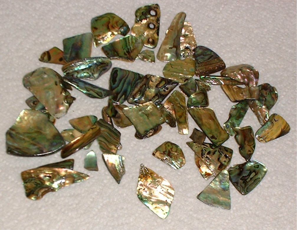 abalone_pieces_2.jpg